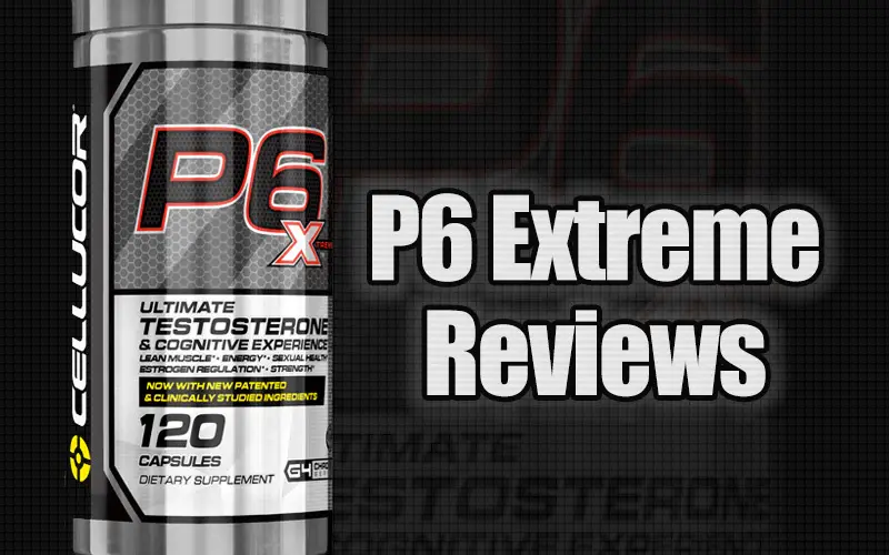 P6 Extreme Review