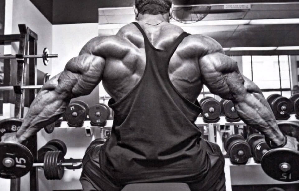 roelly