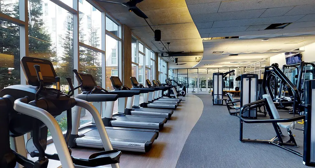 gym treadmills